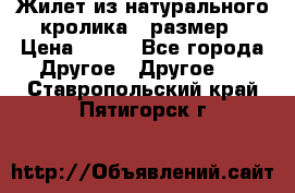 Жилет из натурального кролика,44размер › Цена ­ 500 - Все города Другое » Другое   . Ставропольский край,Пятигорск г.